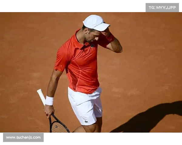 网球竞赛的掌声:主持者的视角 网球竞赛的掌声:主持者的视角