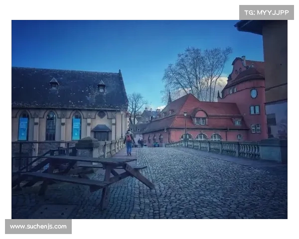 以斯特拉斯堡为中心探索欧洲文化交融与历史遗产之美 以斯特拉斯堡为中心探索欧洲文化交融与历史遗产之美